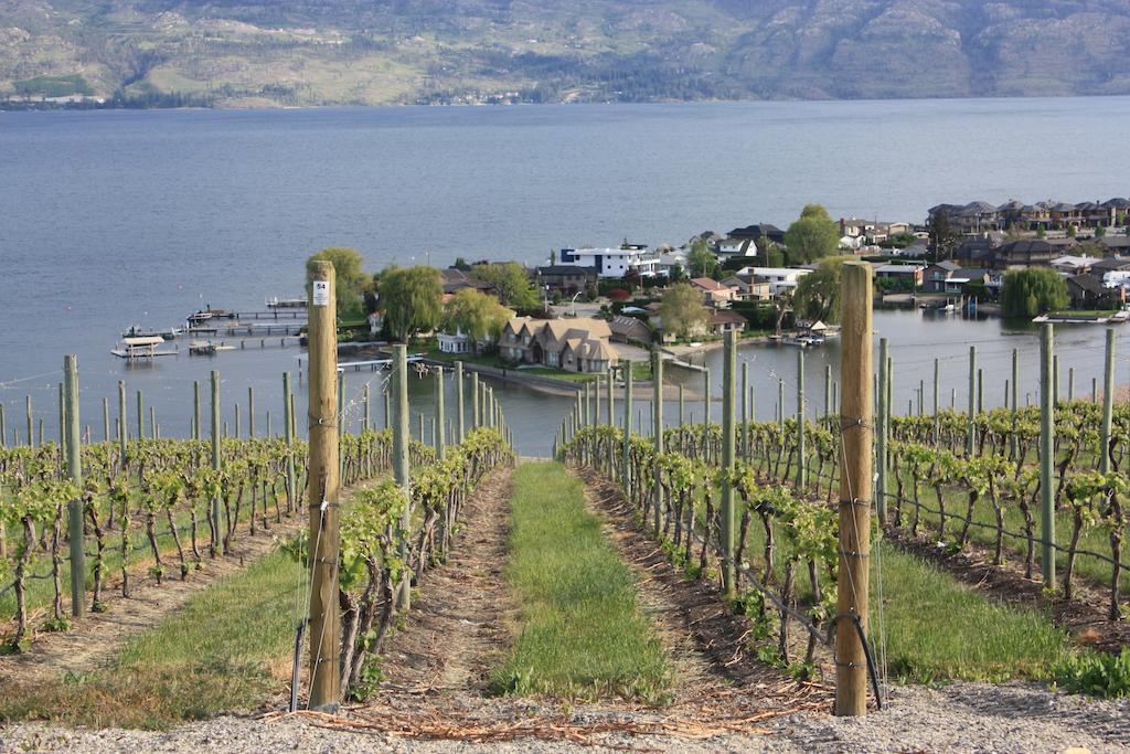 Lake Okanagan Bed And Breakfast West Kelowna Habitación foto